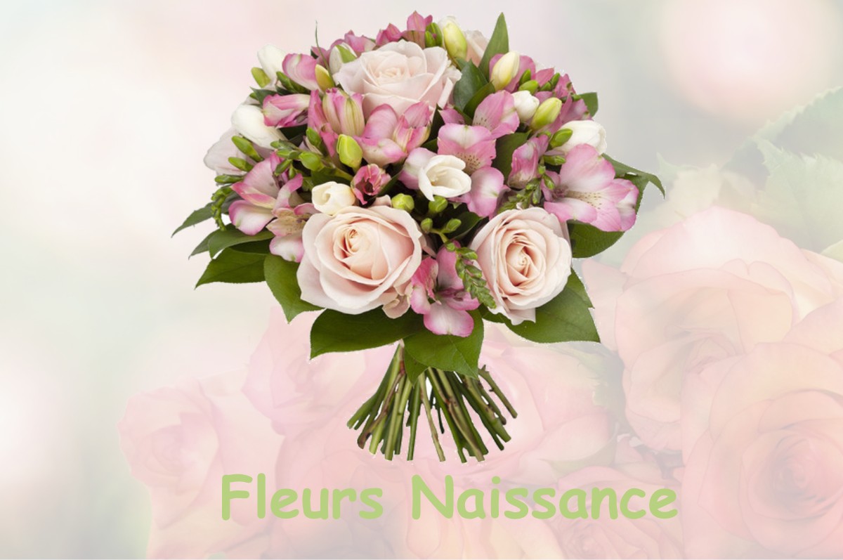 fleurs naissance DENEZIERES