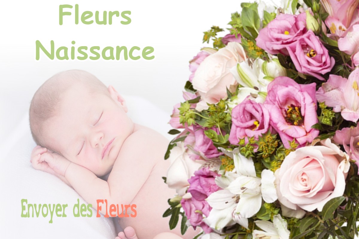 lIVRAISON FLEURS NAISSANCE à DENEZIERES